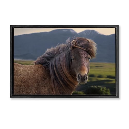 Stupell Industries Kunstdruck auf Leinwand, Motiv Windblown Mare in Mountain Valley, gerahmt, Design von Steve Toole, 63 x 43 cm, Schwarz Stupell Industries Kunstdruck auf Leinwand, Motiv Windblown Mare in Mountain Valley, gerahmt, Design von Steve Toole, 63 x 43 cm, Schwarz von Stupell Industries