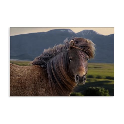 Stupell Industries Kunstdruck auf Leinwand, Motiv Windgeblasene Stute im Bergtal, Design von Steve Toole, 61 x 40 cm Stupell Industries Kunstdruck auf Leinwand, Motiv Windgeblasene Stute im Bergtal, Design von Steve Toole, 61 x 40 cm von Stupell Industries
