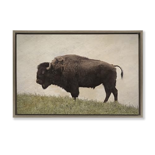 Stupell Industries Steve Toole, gerahmter Kunstdruck auf Leinwand, Motiv Serene Buffalo on Country Hill, 63 x 43 cm, Braun von Stupell Industries