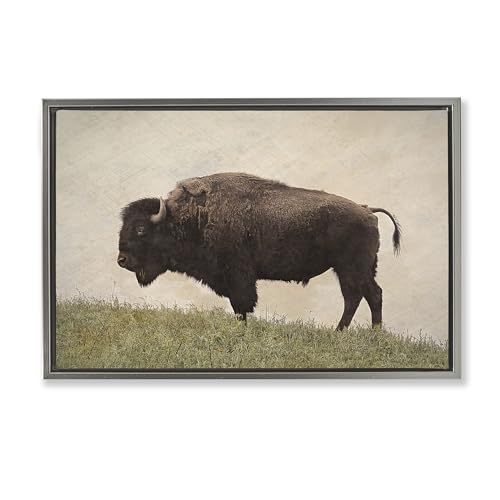 Stupell Industries Steve Toole, gerahmter Kunstdruck auf Leinwand, Motiv Serene Buffalo on Country Hill, 78 x 53 cm, Grau Stupell Industries Steve Toole, gerahmter Kunstdruck auf Leinwand, Motiv Serene Buffalo on Country Hill, 78 x 53 cm, Grau von Stupell Industries