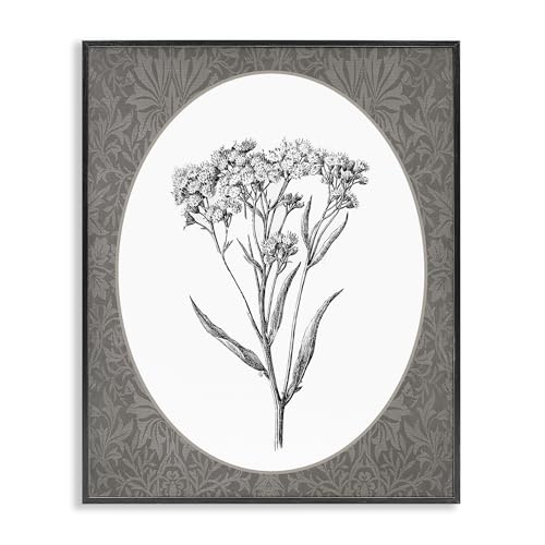 Stupell Industries Vintage Baby's Breath Bundle schwarz gerahmtes Giclée-Kunst-Design von beschriftet und liniert, 40,6 x 50,8 cm Stupell Industries Vintage Baby's Breath Bundle schwarz gerahmtes Giclée-Kunst-Design von beschriftet und liniert, 40,6 x 50,8 cm von Stupell Industries