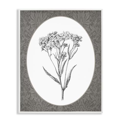 Stupell Industries Vintage Baby's Breath Bundle weiß gerahmtes Giclée-Kunst-Design von beschriftet und liniert, 28,9 x 35,6 cm von Stupell Industries