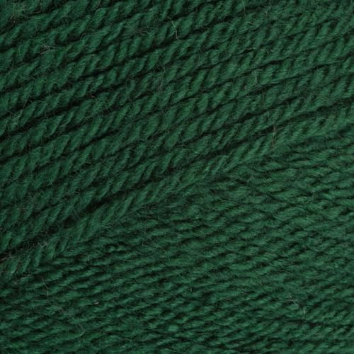 Stylecraft 9041009 Special DK Bottle (1009) Garn, 100 g von Stylecraft