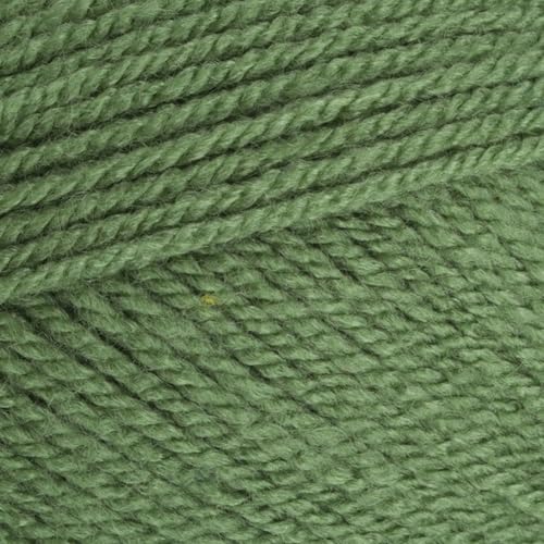 Stylecraft 9041824 Spezial DK Zypresse (1824) Garn, 100 g von Stylecraft