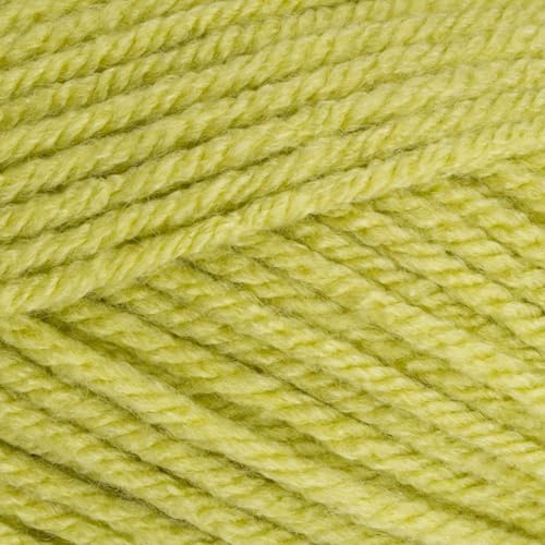 Stylecraft 9061822 Special Chunky Pistazie (1822) Garn, 100 g von Stylecraft
