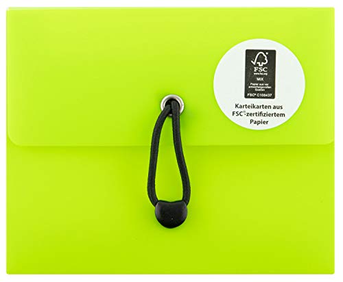 Stylex 49100 - Karteikartenbox DIN A7, mit 5 Fächern inklusive 100 linierte FSC Karteikarten, in 6 verschiedenen Farben, zum Wiederholen und Üben von neuen und alten Vokabeln, sortierter Artikel Stylex 49100 - Karteikartenbox DIN A7, mit 5 Fächern inklusive 100 linierte FSC Karteikarten, in 6 verschiedenen Farben, zum Wiederholen und Üben von neuen und alten Vokabeln, sortierter Artikel von Stylex