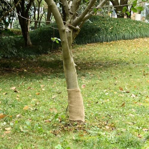 Sufrk Jute-Rolle, 0,25 x 15 m, 100 % Jute, 200 g/m², Juteband, natürliches rustikales Juteband, Rolle, Leinenband, Bastelband, Band für Geschenkverpackungen und Basteln Sufrk Jute-Rolle, 0,25 x 15 m, 100 % Jute, 200 g/m², Juteband, natürliches rustikales Juteband, Rolle, Leinenband, Bastelband, Band für Geschenkverpackungen und Basteln von Sufrk