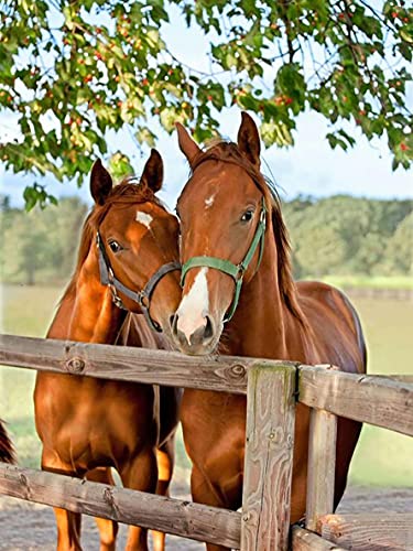 Sugamm DIY Diamond Painting Horse Tree Komplett Kits, 5D Stickerei, Diamant-Malerei, Tierpflanze, komplettes Set, Kreuzstich, Strass, Stickerei, Diamant, Kunsthandwerk für Zuhause, Wanddekoration, 30 Sugamm DIY Diamond Painting Horse Tree Komplett Kits, 5D Stickerei, Diamant-Malerei, Tierpflanze, komplettes Set, Kreuzstich, Strass, Stickerei, Diamant, Kunsthandwerk für Zuhause, Wanddekoration, 30 von Sugamm