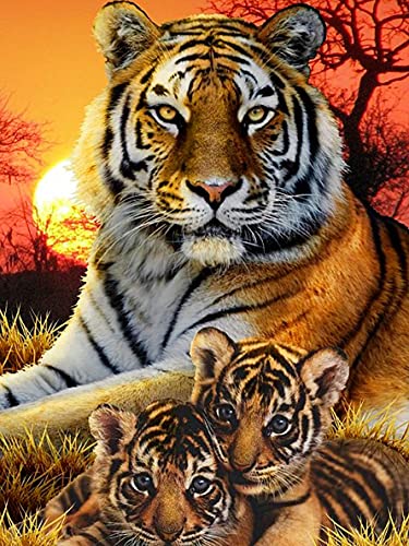 Sugamm DIY Diamond Painting Tiger Komplett-Set, 5D-Stickerei, Diamant-Malerei, Tiermalerei, komplettes Set, Kreuzstich, Strass, Stickerei, Diamant, Kunsthandwerk für Zuhause, Wanddekoration, 30 x 40 von Sugamm