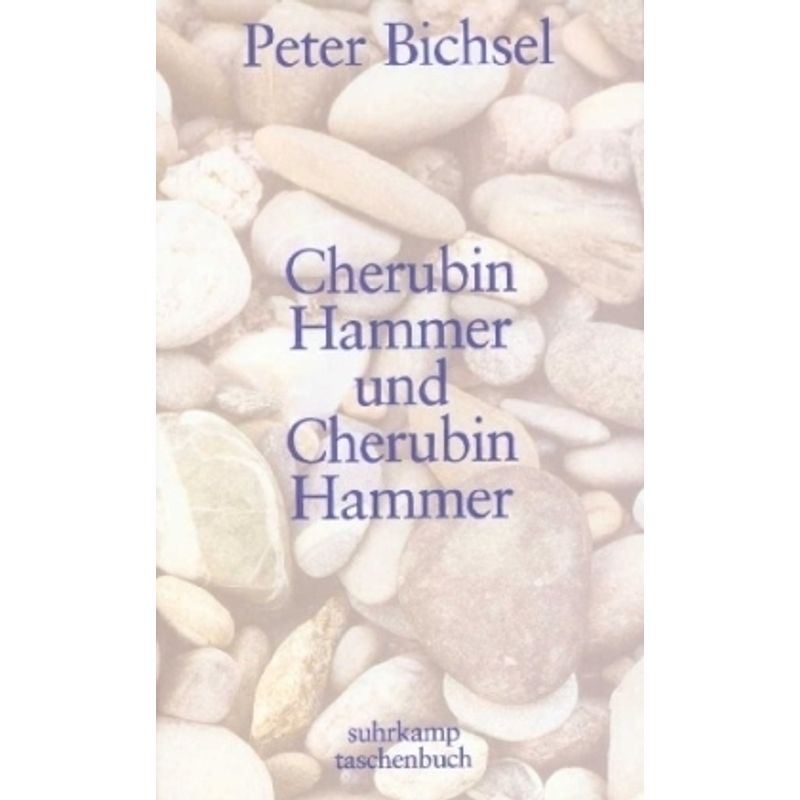 Cherubin Hammer Und Cherubin Hammer - Peter Bichsel, Taschenbuch von Suhrkamp