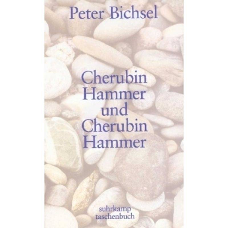Cherubin Hammer Und Cherubin Hammer - Peter Bichsel, Taschenbuch von Suhrkamp