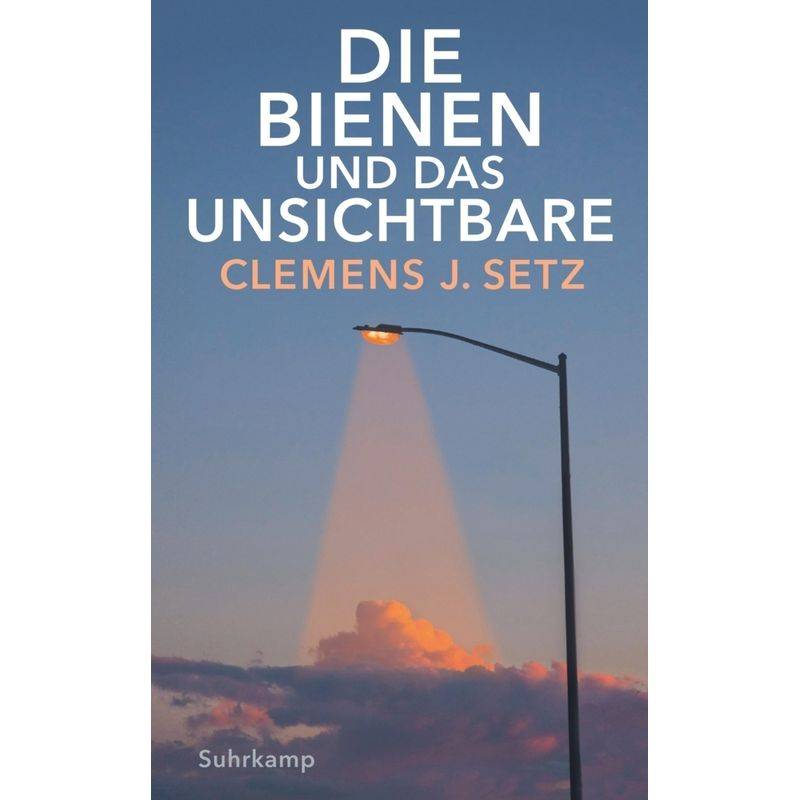 Die Bienen Und Das Unsichtbare - Clemens J. Setz, Taschenbuch von Suhrkamp