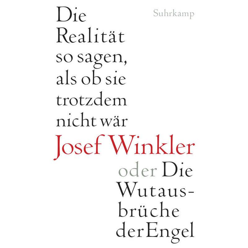 Die Realität So Sagen, Als Ob Sie Trotzdem Nicht Wär Oder Die Wutausbrüche Der Engel - Josef Winkler, Gebunden von Suhrkamp