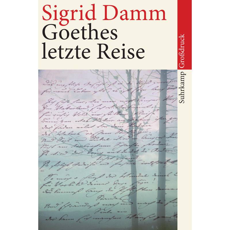 Goethes Letzte Reise, Großdruck - Sigrid Damm, Taschenbuch von Suhrkamp