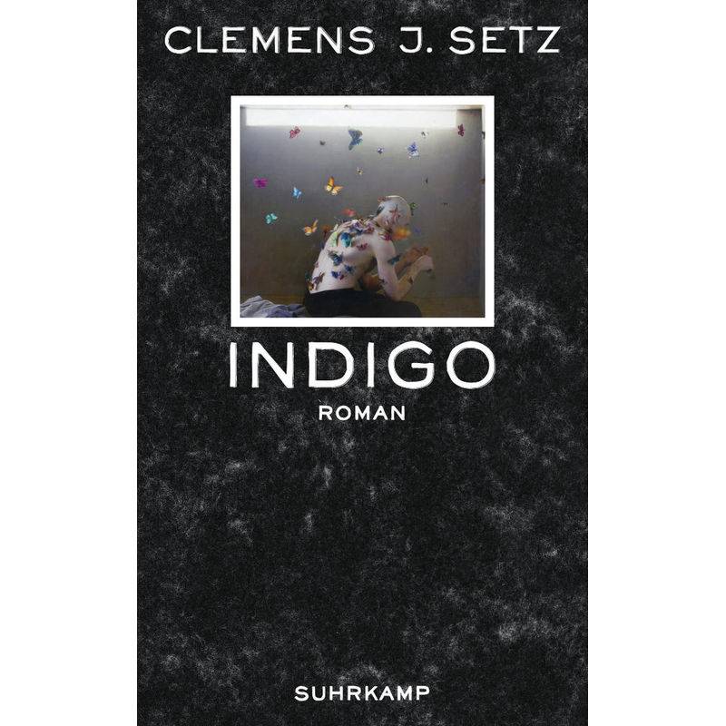 Indigo - Clemens J. Setz, Taschenbuch von Suhrkamp