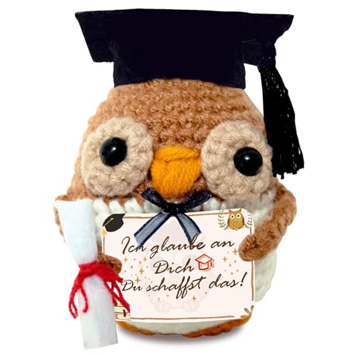 Bachelor Geschenk 2025, Glücksbringer Prüfung Geschenk, Schultüte, Gestrickte Eule, Pocket Hug Eule, Bachelor Master Abitur 2025, Positive Kartoffel Deutsch, Prüfung Bestanden, Positive Geschenke von Sumtoco