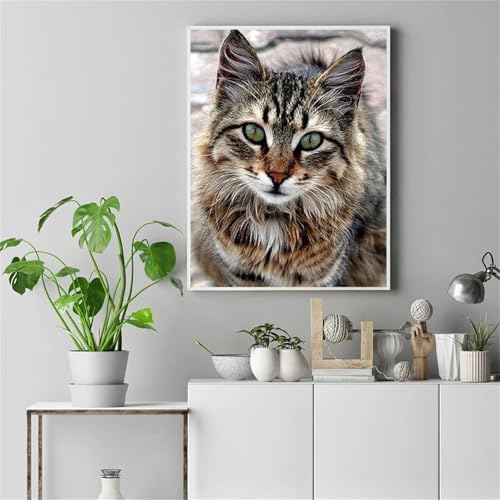 Diamond Painting Erwachsene,5D Braune Katze Diamond painting Bilder Anfänger,DIY Square Full Drill Stickerei Diamant Malerei Set für Zuhause Dekor Geschenke 85x105cm Diamond Painting Erwachsene,5D Braune Katze Diamond painting Bilder Anfänger,DIY Square Full Drill Stickerei Diamant Malerei Set für Zuhause Dekor Geschenke 85x105cm von Suneve