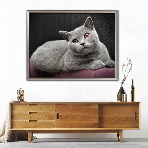 Diamond Painting Erwachsene,5D Graue Katze Diamond painting Bilder Anfänger,DIY Square Full Drill Stickerei Diamant Malerei Set für Zuhause Dekor Geschenke 25x45cm Diamond Painting Erwachsene,5D Graue Katze Diamond painting Bilder Anfänger,DIY Square Full Drill Stickerei Diamant Malerei Set für Zuhause Dekor Geschenke 25x45cm von Suneve