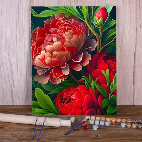 Malen Nach Zahlen Erwachsene Rote Pfingstrose Paint by Numbers DIY mit Pinseln und Acrylfarben Malen Nach Zahlen,Blume Handgemalt Ölgemälde Leinwand Kunst-Handwerk für Home Decor,ohne Rahmen 30x40cm von Suneve