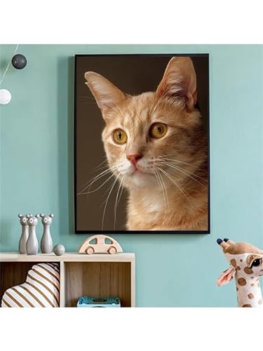 Tierkatzen Diamond Painting für Erwachsene,5D Diamond Painting Set,DIY Full Square Diamant Malerei Stickerei Kreuzstich Bastelset für Zuhause Dekor 33x41 inch von Suneve