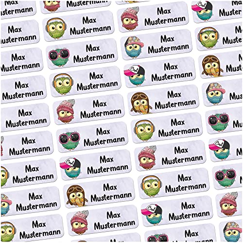 60 Stück personalisierte Namensaufkleber für Schulsache. Für Kinder Schule und Kindergarten zum Markieren von Gegenständen (Eulen) Maße 4,8x1,6cm von Sunnywall