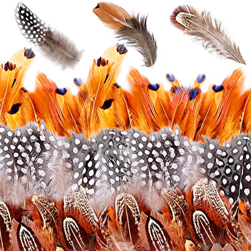 350 Pcs Federn Braun,Indianer Federn,Federn zum Basteln,DIY Federn,Natürliche Federn,Naturfedern,Federn für Traumfänger,Federn für Party Dekoration,Halloween, Weihnachten,Kleidung Dekoration 350 Pcs Federn Braun,Indianer Federn,Federn zum Basteln,DIY Federn,Natürliche Federn,Naturfedern,Federn für Traumfänger,Federn für Party Dekoration,Halloween, Weihnachten,Kleidung Dekoration von Sunshine smile