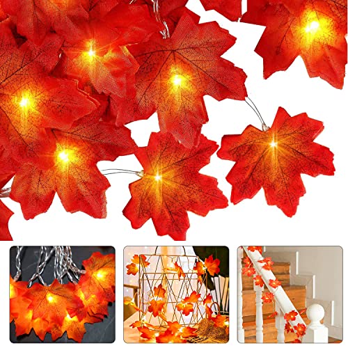 Ahornblätter Lichterketten,3 M 20 LED Herbst Lichterkette,Herbst Blättergirlande mit LED,Ahornblatt Licht,Batteriebetriebene Lichterkette Weihnachtsdeko,Halloween Party,Thanksgiving,Innen Herbstdeko von Sunshine smile