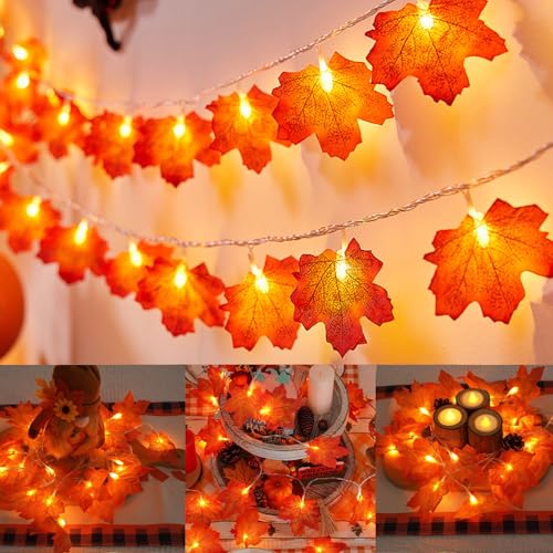 Herbst Lichterkette,3M 20 LED Ahornblatt Lichterketten,Ahornblätter Lichterketten Dekoration,Herbst Girlande Batteriebetrieben,Herbst Blättergirlande mit LED für Party Halloween, Erntedankfest von Sunshine smile