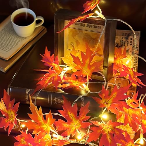 Herbst Lichterkette,3M 20 LED Ahornblatt Lichterketten,Ahornblätter Lichterketten Dekoration,Herbst Girlande Batteriebetrieben,Herbst Blättergirlande mit LED für Party Halloween, Erntedankfest Herbst Lichterkette,3M 20 LED Ahornblatt Lichterketten,Ahornblätter Lichterketten Dekoration,Herbst Girlande Batteriebetrieben,Herbst Blättergirlande mit LED für Party Halloween, Erntedankfest von Sunshine smile