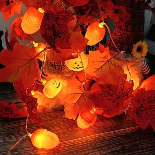Herbstdeko Lichterkette Batterie,Eicheln Lichterkette Herbst,1.5M 10LED Halloween Ahornblatt Kürbis Lichterketten String,Herbst Ahornblatt Girlande Lichtern,für Party Halloween,Erntefest,Erntedankfest Herbstdeko Lichterkette Batterie,Eicheln Lichterkette Herbst,1.5M 10LED Halloween Ahornblatt Kürbis Lichterketten String,Herbst Ahornblatt Girlande Lichtern,für Party Halloween,Erntefest,Erntedankfest von Sunshine smile