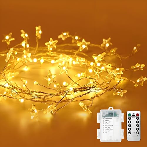 Sunshine smile 80 LED Stern Lichterkette,1.8M 80LED Lichterkette Stern Strom,Lichterkette Kinderzimmer Batterie,8 Modi Weihnachten Lichter für DIY Urlaub Hochzeit Geburtstag Party Décor von Sunshine smile