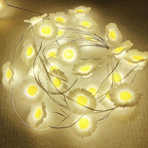 Sunshine smile Blumen Lichterkette,2M 20LED Blumen Lichterkette,Lichterkette Innen,Valentinstag Dekoration,Aussenlichterkette Batterie,Lichterketten Vorhang,Outdoor Christmas Decorations Sunshine smile Blumen Lichterkette,2M 20LED Blumen Lichterkette,Lichterkette Innen,Valentinstag Dekoration,Aussenlichterkette Batterie,Lichterketten Vorhang,Outdoor Christmas Decorations von Sunshine smile