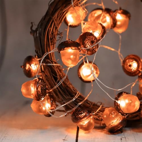 Sunshine smile Eicheln Lichterkette Herbst,2M 20 LED Lichterkette,Outdoorlichterkette Batterie,Herbst Eichel Dekoratives Licht für Erntedankfest,Weihnachten,Hochzeit,Geburtstag Party von Sunshine smile