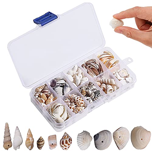 150 StüCk ZubehöR FüR Muschelketten Gemischt 10 Muscheln Deko，Eeignet FüR VasenfüLlung, Diy，ArmbäNder,FußKettchen,HalskettenzubehöR,Hochzeitsdekoration Zum Thema Strandparty，Kerzenherstellung von Sunwuun