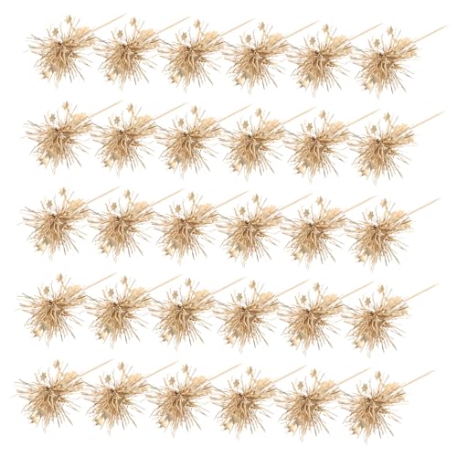 SUPVOX 100 Stück Kuchen Plugin Geburtstagskuchen Topper Obst Zahnstocher Geburtstags Cupcake Topper Getränkerührer SUPVOX 100 Stück Kuchen Plugin Geburtstagskuchen Topper Obst Zahnstocher Geburtstags Cupcake Topper Getränkerührer von Supvox