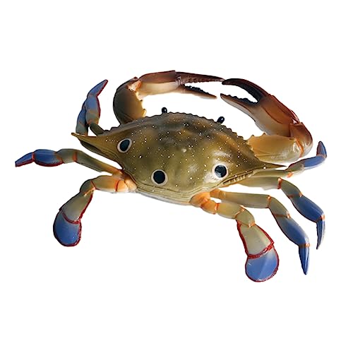 Supvox 1 Stück DREI-Punkte-krabben-Ornamente Krabbenschmuck Meerestiermodell Meerestierschmuck Supvox 1 Stück DREI-Punkte-krabben-Ornamente Krabbenschmuck Meerestiermodell Meerestierschmuck von Supvox