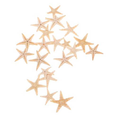 Supvox 20 Stück Teiliges Mini Seesterne für DIY Kerzen und Epoxidharz Natürliche Seestern Figuren für Strand Dekoration Hochzeiten und Partys Ocean Thema Handwerkszubehör Supvox 20 Stück Teiliges Mini Seesterne für DIY Kerzen und Epoxidharz Natürliche Seestern Figuren für Strand Dekoration Hochzeiten und Partys Ocean Thema Handwerkszubehör von Supvox