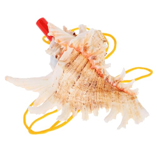 Supvox Großes Natürliches Meeresmuschel Horn Conch Shell Trompete Klarer Klang Dekoratives Reise Partyspielzeug für Tourismus Supvox Großes Natürliches Meeresmuschel Horn Conch Shell Trompete Klarer Klang Dekoratives Reise Partyspielzeug für Tourismus von Supvox