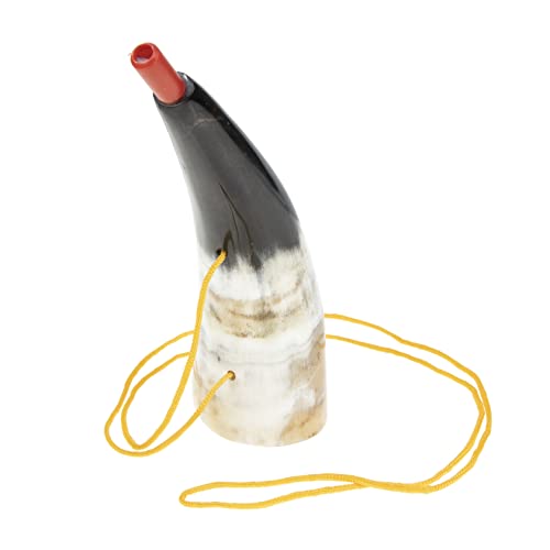 Supvox Horn Trompete Zufällige Farbe Party Zubehör für Horn für Sportspiele und Hervorragender für Anfänger und Zufällige Farbe Supvox Horn Trompete Zufällige Farbe Party Zubehör für Horn für Sportspiele und Hervorragender für Anfänger und Zufällige Farbe von Supvox