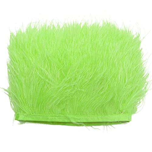 2M Straußenfedern Fringe Trim,Straußenfedern Borte Fransen mit Satinband Natürlichen Feder Fransen für Kleid Nähen Handwerk Kostüme Dekoration DIY Deko Federn basteln,Halloween Federband Bastelzubehör 2M Straußenfedern Fringe Trim,Straußenfedern Borte Fransen mit Satinband Natürlichen Feder Fransen für Kleid Nähen Handwerk Kostüme Dekoration DIY Deko Federn basteln,Halloween Federband Bastelzubehör von Surakey