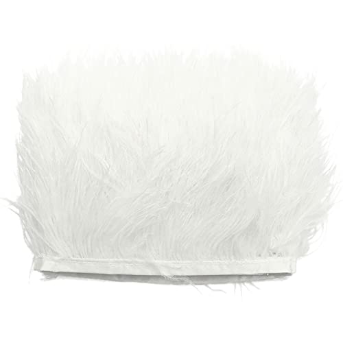2M Straußenfedern Fringe Trim,Straußenfedern Borte Fransen mit Satinband Natürlichen Feder Fransen für Kleid Nähen Handwerk Kostüme Dekoration DIY Deko Federn basteln,Halloween Federband Bastelzubehör 2M Straußenfedern Fringe Trim,Straußenfedern Borte Fransen mit Satinband Natürlichen Feder Fransen für Kleid Nähen Handwerk Kostüme Dekoration DIY Deko Federn basteln,Halloween Federband Bastelzubehör von Surakey