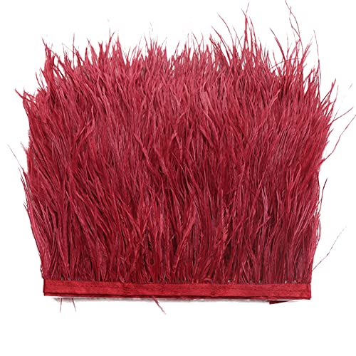 Surakey 2M Straußenfedern Fringe Trim, Naturliche Feder Fransen für Kleid Nähen Handwerk Kostüme Dekoration DIY Deko Federn basteln, Halloween Federband Bastelzubehör Surakey 2M Straußenfedern Fringe Trim, Naturliche Feder Fransen für Kleid Nähen Handwerk Kostüme Dekoration DIY Deko Federn basteln, Halloween Federband Bastelzubehör von Surakey