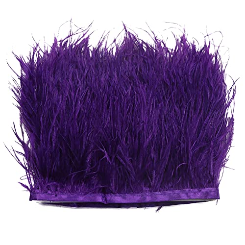 2M Straußenfedern Fringe Trim,Straußenfedern Borte Fransen mit Satinband Natürlichen Feder Fransen für Kleid Nähen Handwerk Kostüme Dekoration DIY Deko Federn basteln,Halloween Federband Bastelzubehör 2M Straußenfedern Fringe Trim,Straußenfedern Borte Fransen mit Satinband Natürlichen Feder Fransen für Kleid Nähen Handwerk Kostüme Dekoration DIY Deko Federn basteln,Halloween Federband Bastelzubehör von Surakey