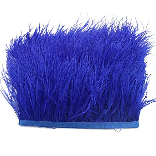 2M Straußenfedern Fringe Trim,Straußenfedern Borte Fransen mit Satinband Natürlichen Feder Fransen für Kleid Nähen Handwerk Kostüme Dekoration DIY Deko Federn basteln,Halloween Federband Bastelzubehör 2M Straußenfedern Fringe Trim,Straußenfedern Borte Fransen mit Satinband Natürlichen Feder Fransen für Kleid Nähen Handwerk Kostüme Dekoration DIY Deko Federn basteln,Halloween Federband Bastelzubehör von Surakey