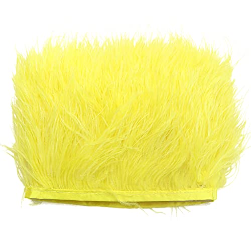 2M Straußenfedern Fringe Trim,Straußenfedern Borte Fransen mit Satinband Natürlichen Feder Fransen für Kleid Nähen Handwerk Kostüme Dekoration DIY Deko Federn basteln,Halloween Federband Bastelzubehör 2M Straußenfedern Fringe Trim,Straußenfedern Borte Fransen mit Satinband Natürlichen Feder Fransen für Kleid Nähen Handwerk Kostüme Dekoration DIY Deko Federn basteln,Halloween Federband Bastelzubehör von Surakey
