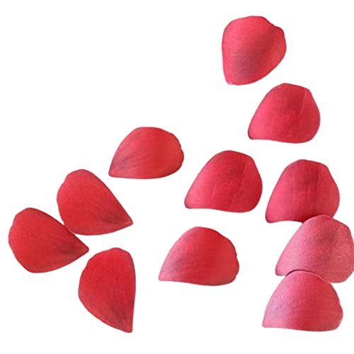 Essbare Rosenblätter Kuchen-Deckel,250 Stück Tortendeko Rosenblüten Essbarer Cupcake Toppers,Rote Klebreispapier Kuchen Dekorationen,Essbar Tortenaufsatz Torten Deko Blumen für Hochzeit Geburtstag Essbare Rosenblätter Kuchen-Deckel,250 Stück Tortendeko Rosenblüten Essbarer Cupcake Toppers,Rote Klebreispapier Kuchen Dekorationen,Essbar Tortenaufsatz Torten Deko Blumen für Hochzeit Geburtstag von Surakey