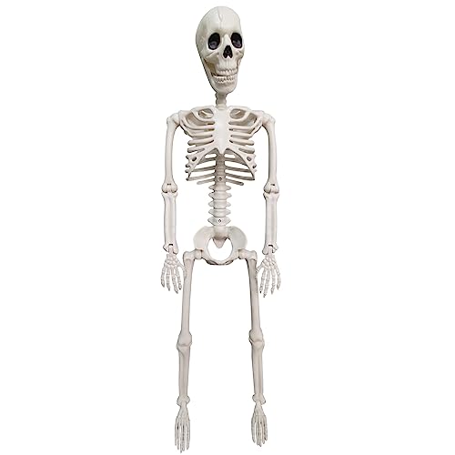 Surakey Halloween Skelett, Halloween Bewegliche Ganzkörper Halloween Skelette mit beweglichen Gelenken Realistische menschliche Skelette für Spukhaus-Requisiten, Halloween Party Dekorationen,90CM Surakey Halloween Skelett, Halloween Bewegliche Ganzkörper Halloween Skelette mit beweglichen Gelenken Realistische menschliche Skelette für Spukhaus-Requisiten, Halloween Party Dekorationen,90CM von Surakey