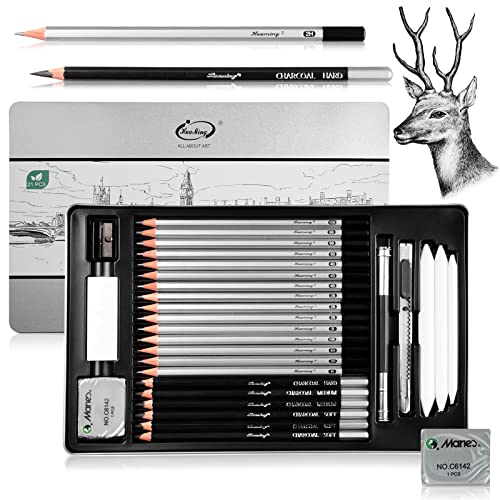 Surcotto Bleistift Set, 21 Bleistifte Set mit 1 Anspitzer 2 Radiergummis 1 Stift-Extender 3 Papierwischer, Professionelle Zeichenset für Anfänger, Metalletuis, Inhalt 10B - 4H, insg. 30 er von Surcotto