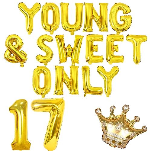 Sursurprise 17. Geburtstag Dekorationen für Mädchen, jung und süß nur 17 Ballon Banner Gold Crown Ballon, Dancing Queen 17 Party Supplies von Sursurprise