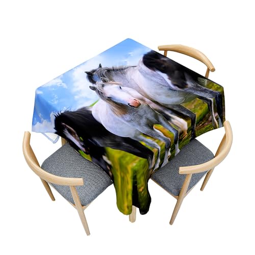 Surwin Tischdecke Abwaschbar Quadratisch, 3D Tier Outdoor Tischdecke, Abwaschbare Tischtuch, Gartentischdecke, für Esszimmer/Party/Geburtstag (Grasland und Pferd,180x180cm) von Surwin